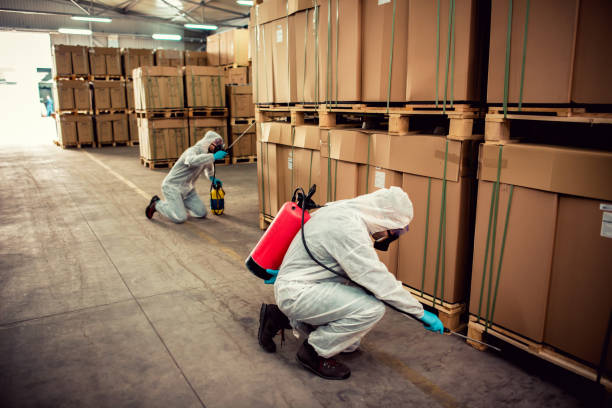 Professional Pest Control in New Hope, OR