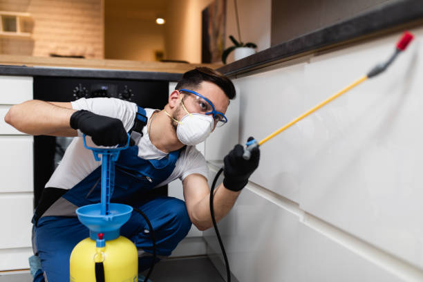Best Pest Removal Services  in New Hope, OR