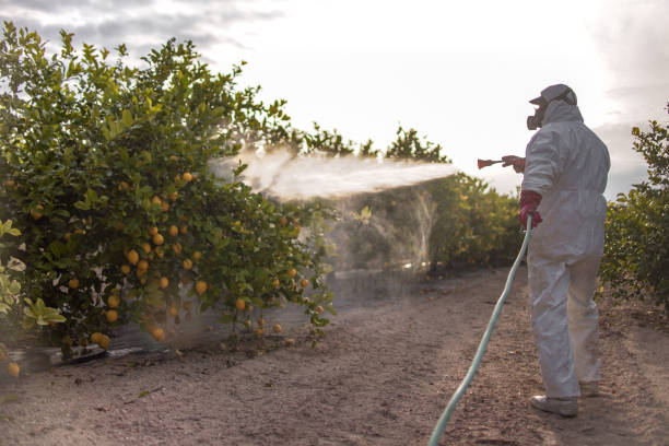 Best Mosquito Control Services  in New Hope, OR